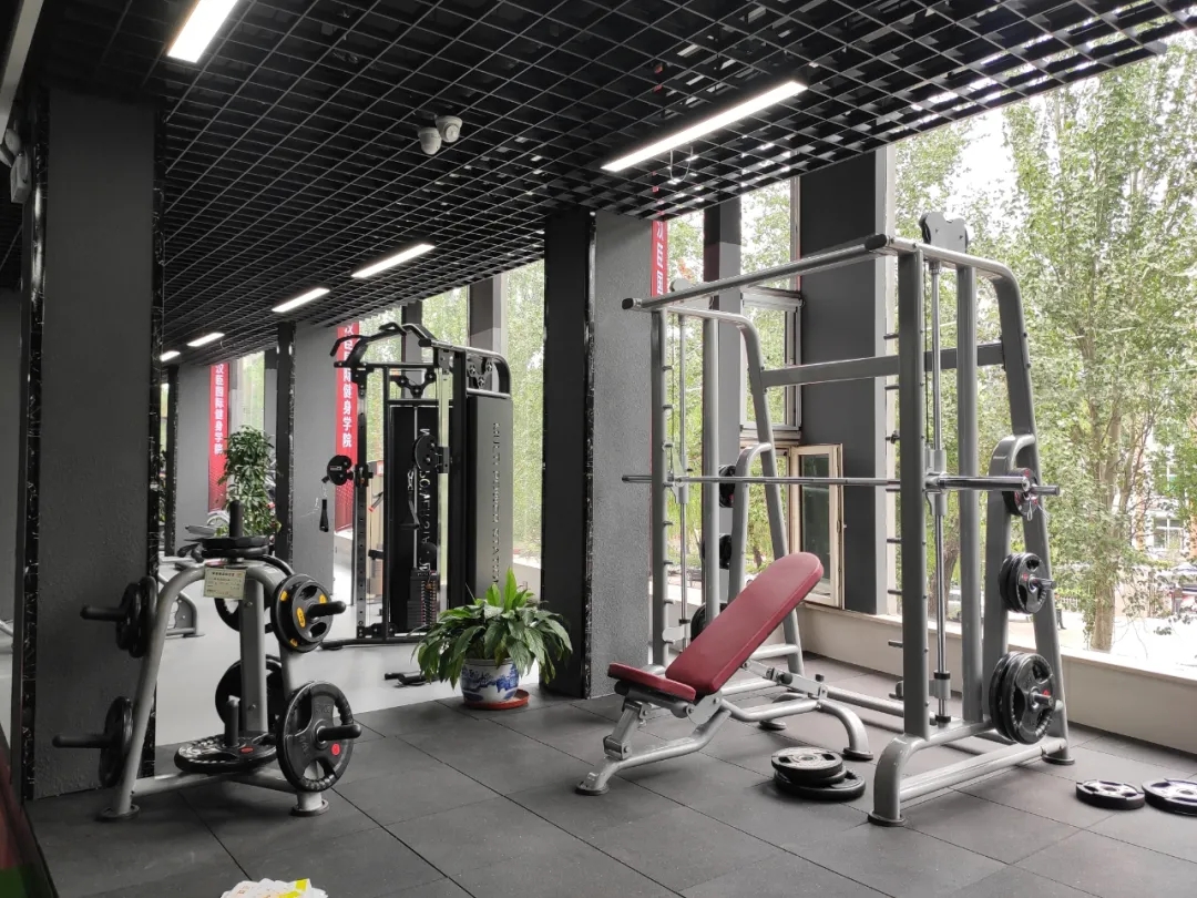 bsports健身器材